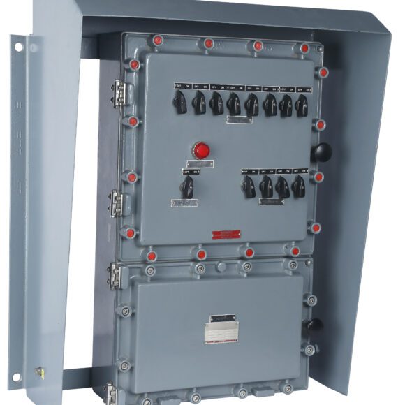 MG_3378 copy 1 580x580